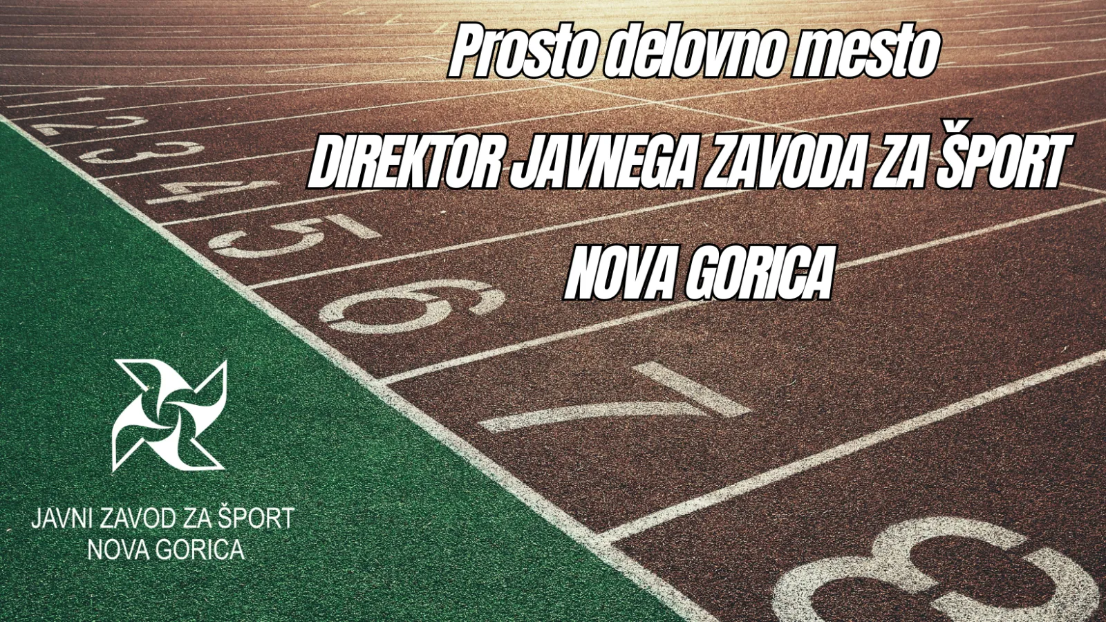 RAZPIS ZA PROSTO DELOVNO MESTO DIREKTORJA JAVNEGA ZAVODA ZA ŠPORT NOVA GORICA