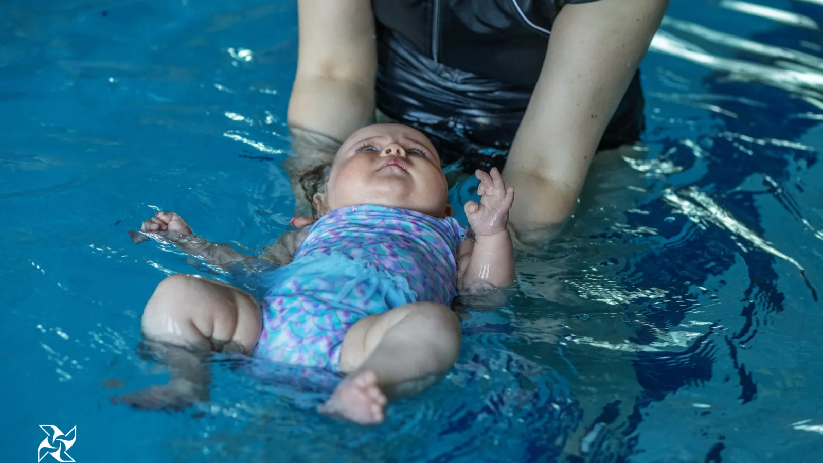 Čofotalnica 2025 Čofotalnica 2025