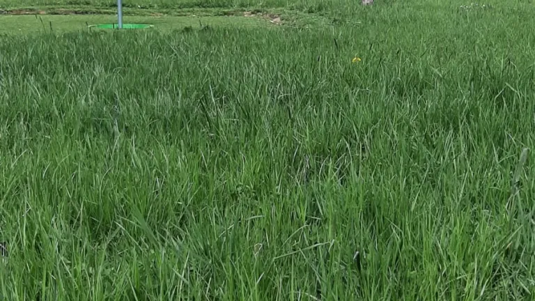 Povabilo k oddaji ponudbe za Multigolf  Povabilo k oddaji ponudbe za Multigolf