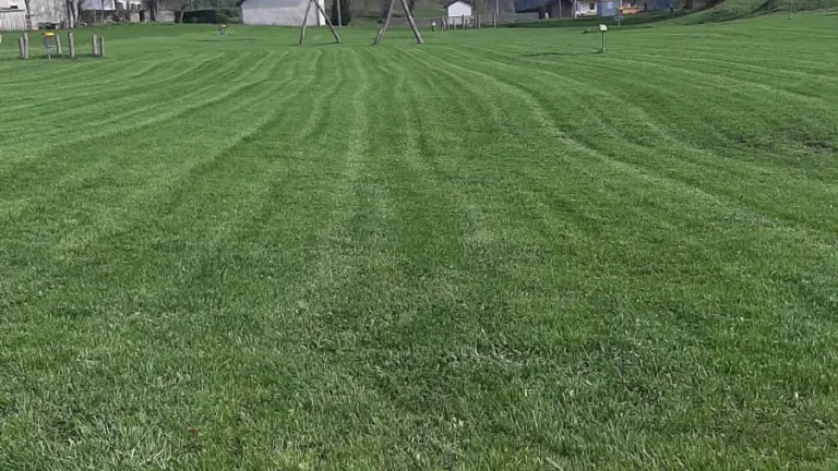 Povabilo k oddaji ponudbe za Multigolf  Povabilo k oddaji ponudbe za Multigolf