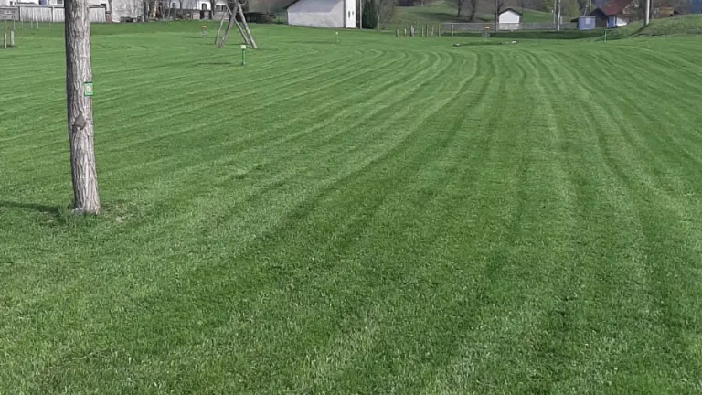 Povabilo k oddaji ponudbe za Multigolf  Povabilo k oddaji ponudbe za Multigolf